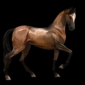 Normální Achaltekinský kůň